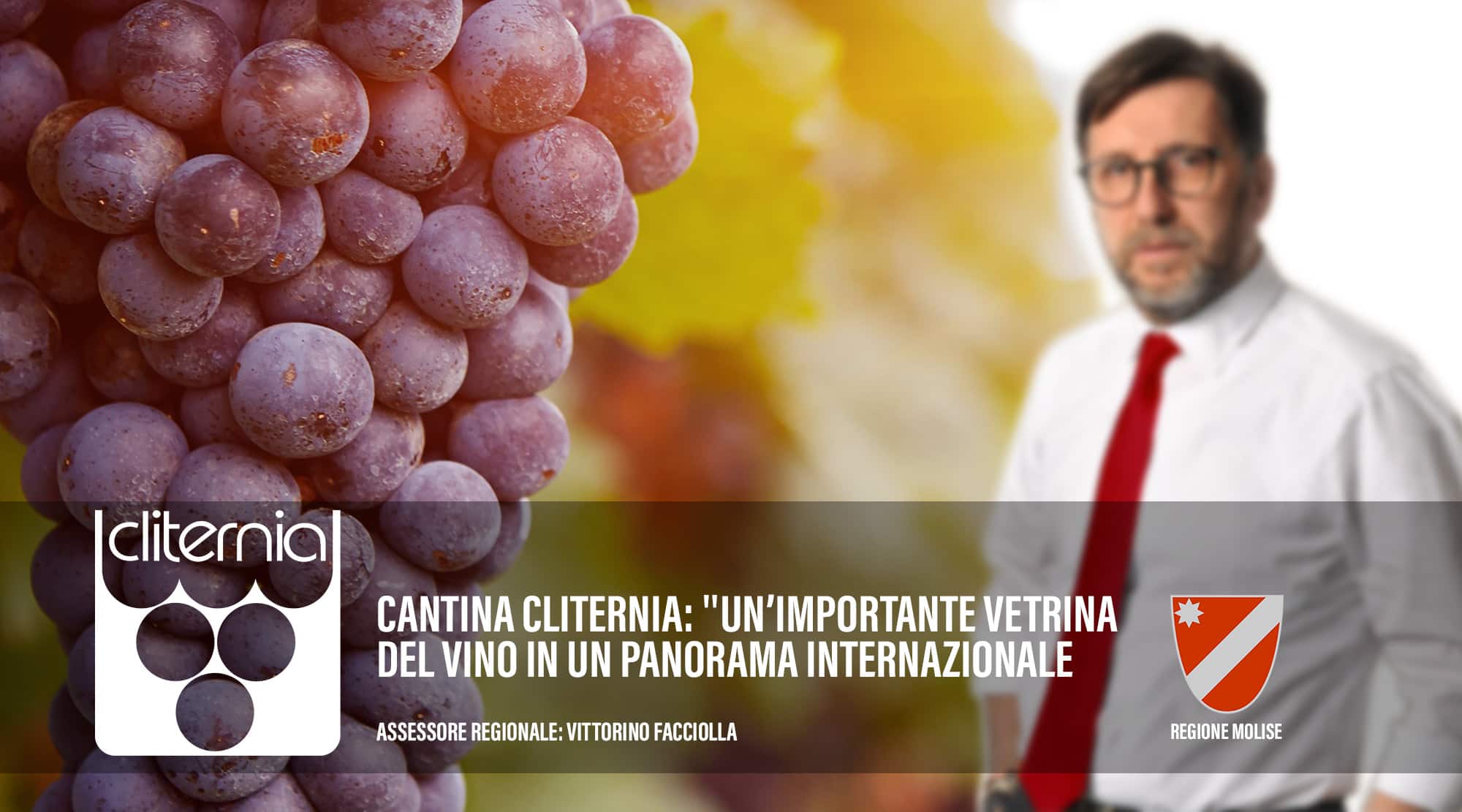 'Cantina Cliternia' maggior esportatrice di vino italiano in Giappone